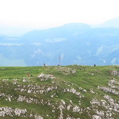 Flugwegposition um 11:24:22: Aufgenommen in der Nähe von Lunz am See, Österreich in 1920 Meter