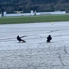 Verortung via Georeferenzierung der Kamera: Aufgenommen in der Nähe von Innsbruck, Österreich in 600 Meter