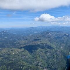 Flugwegposition um 10:56:58: Aufgenommen in der Nähe von Gaming, Österreich in 2329 Meter