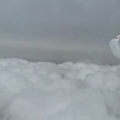 unverortetes Flugbild